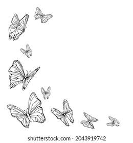 Hand drawn frame with butterflies isolated on white background. Elegant classic frame, banner for text. Vector illustration.