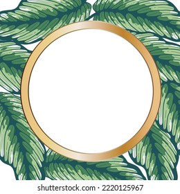 Banner tropical de color de marco dibujado a mano con hojas de selva. Ilustraciones de hojas exóticas enmarcan el árbol de la selva.