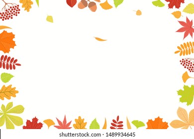 Hand drawn frame of colorful autumn leaves on white background. Rowan, maple, oak, chestnut, birch, ginkgo, momiji. Vector illustration. Flat style design. Concept, element season poster, banner.