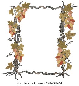 Hand drawn frame with grapes isolated on white background. It can be used for weddings, invitations, menus, labels for wine and wine vinegar. Vector.