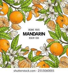 Handgezeichnete Rahmen Mandarine oder Tangerine. Organische Zitruspflanzenzeichnung mit ungeschälter ganzer Mandarine, Scheiben, Hälften und Zweig. Muster für die Kennzeichnung von Lebensmitteln. Botanische Grafik