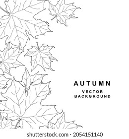 Hand drawn frame with maple leaves. Border from black foliage graphics
isolated on white background. Design template. Vector illustration