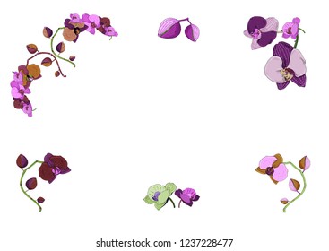 Hand drawn frame of orchid branches, flowers, buds. Vintage botanical illustration of Phalaenopsis tropical plant stem isolated on the white background. For invitation, greeting card, banner, design.