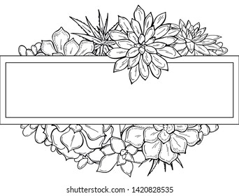 Hand drawn frame of succulents on a white background. Flowers in the desert. Vector illustration. Perfect for coloring book, invitation,greeting card, print.