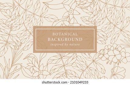 Hand drawn frankincence, vanilla, geranium, rosemary background