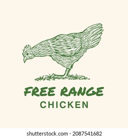 Hand drawn free range chicken, Vector Illustration