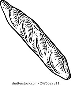 Hand drawn French Baguette Sketch Illustration