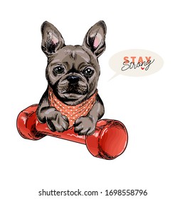 Hand drawn french bulldog dog sits with a dumpbell. Stay home. Vector engraved quarantine poster. Stay strong, stay at home. Covid-19 pandemic flyer. Sport, workout, active life