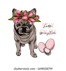 Hand drawn french bulldog dog wearing a tulip crown. Vector engraved quarantine poster. Ejoy spring, stay at home. Covid-19 pandemic flyer. Easter illustration with eggs