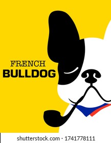 Hand drawn French bulldog half black half white, chilling, smoking a tobacco pipe. French dog. Vector illustration art on yellow background.