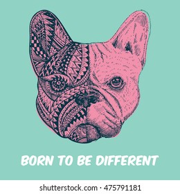 Hand drawn French Bulldog with text Born to be different, Zentangle stylized 