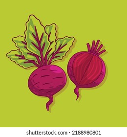 Hand Drawn Fresh beetroot Illustration