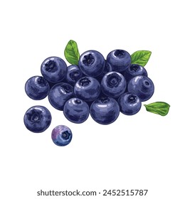 Hand drawn fresh blueberries. Berries and leaves. Vector illustration in retro style isolated on white background.