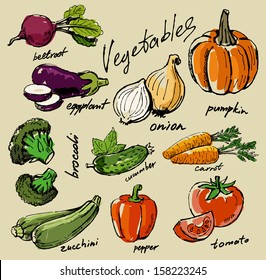 hand drawn fresh color vegetables on beige