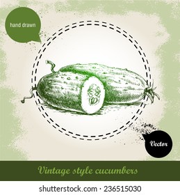 Hand drawn fresh cucumbers. Vintage sketch style organic eco vegetable illustration on grunge background