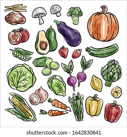  Hand drawn fresh food design elements isolated on white background.