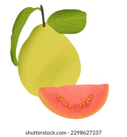 hand drawn fresh fruits illustration