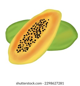 hand drawn fresh fruits illustration