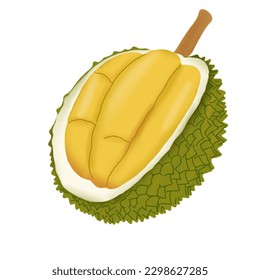 hand drawn fresh fruits illustration