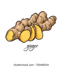 Hand drawn fresh ginger root with caption, sketch style vector illustration on white background. Realistic hand drawing of whole fresh ginger root with caprion