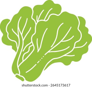 
Hand drawn Fresh Green Lettuce