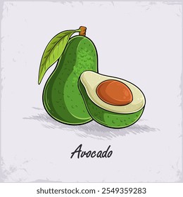 Hand drawn fresh healthy green full and cut out avocado with seed inside rich of fibers and vitamins