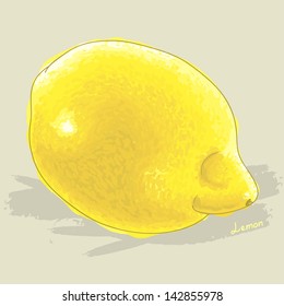 Hand drawn fresh lemon