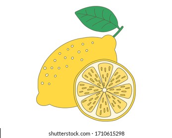Hand drawn fresh lemon, vector illustration
