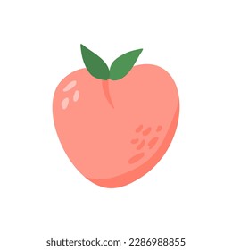 hand drawn fresh peach fruit