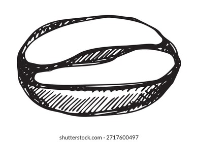 Handgezeichnete frisch geröstete Kaffeebohne Arabica robusta Samen doodle Einzelelement für Druck, Web, Design, Dekor