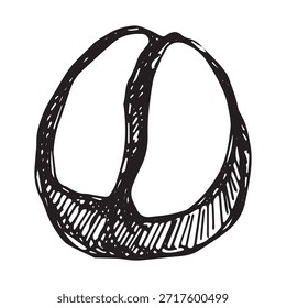 Dibujado a mano grano de café tostado fresco Arabica robusta semilla doodle Un solo elemento para impresión, Web, diseño, decoración