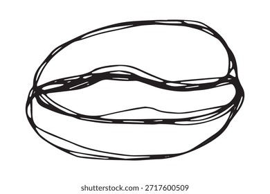 Handgezeichnete frisch geröstete Kaffeebohne Arabica robusta Samen doodle Einzelelement für Druck, Web, Design, Dekor