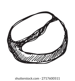 Dibujado a mano grano de café tostado fresco Arabica robusta semilla doodle Un solo elemento para impresión, Web, diseño, decoración