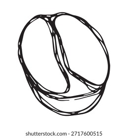 Dibujado a mano grano de café tostado fresco Arabica robusta semilla doodle Un solo elemento para impresión, Web, diseño, decoración