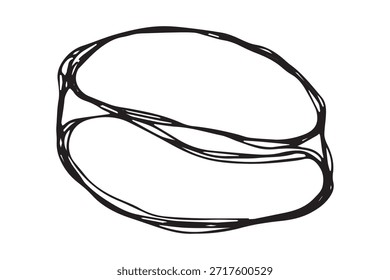 Dibujado a mano grano de café tostado fresco Arabica robusta semilla doodle Un solo elemento para impresión, Web, diseño, decoración