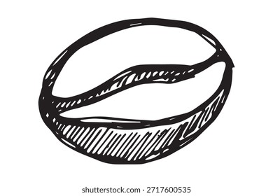 Handgezeichnete frisch geröstete Kaffeebohne Arabica robusta Samen doodle Einzelelement für Druck, Web, Design, Dekor