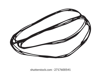 Dibujado a mano grano de café tostado fresco Arabica robusta semilla doodle Un solo elemento para impresión, Web, diseño, decoración