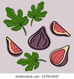 Juego de higos abjasios morados dibujado a mano. Frutas enteras y rebanadas con hojas verdes. Ilustración vectorial en estilo doodle