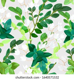 Hand drawn fresh spring seamless pattern. Floral background design with green leaves, succulent plants and white lily flowers. Vector Illustration.