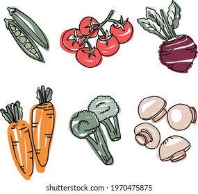 Hand drawn fresh vegetable set consisted of peanut, tomato, beetroot, carrot, broccoli, and mushroom. Vector illustration in doodle art style on white background