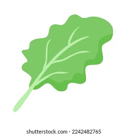 hand drawn fresh vegetables illustration