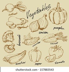 hand drawn fresh vegetables on beige