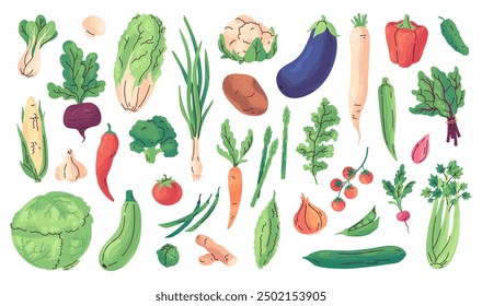 Hand drawn fresh vegetables, organic farmer harvest. Cartoon isolated vegetable doodles, healthy vegan cooking ingredients, green vegetables and salads, delicious vitamin rich food products vector set