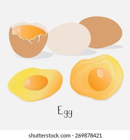 Hand drawn fried and raw Egg on white.