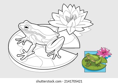 Hand Drawn Frog Coloring Illustration