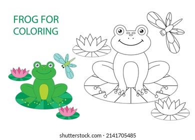 Hand Drawn Frog Coloring Illustration