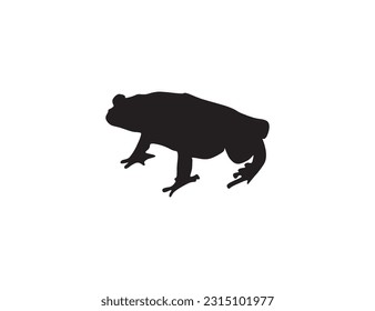 HAND DRAWN FROG ICONS IN VECTOR