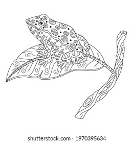 Hand drawn of frog in zentangle style
