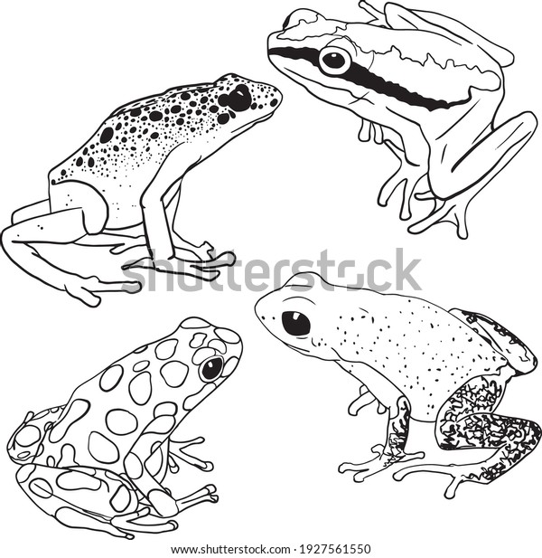 6,319 Outline Frog Images, Stock Photos & Vectors | Shutterstock