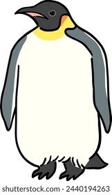 Hand drawn front facing emperor penguin illustration
